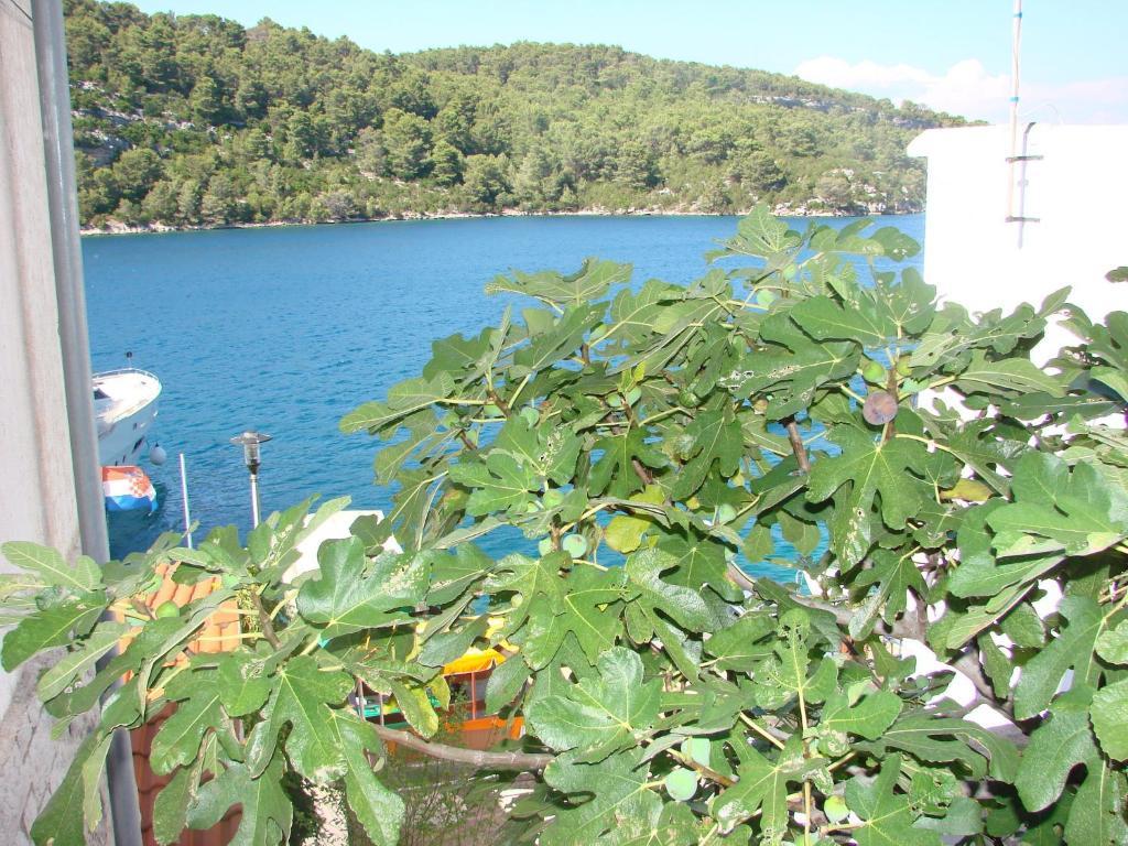 Hotel Sea House Mljet Polače Zimmer foto